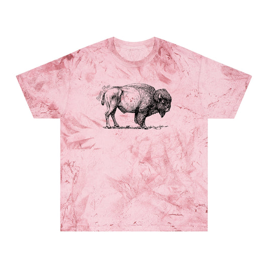 American Bison - Unisex Color Blast Tie Dye T-Shirt - ROAMfree Outdoor Apparel
